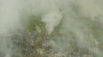 Incedio Amazzonia, il video di Greenpeace