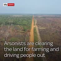 Amazon fires destroy rainforest