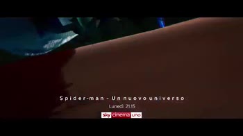 Spider Man - Un nuovo universo