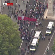Anti-Brexit protesters gather at Downing St
