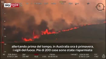 ERROR! australia incendi boschi