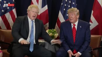 Trump and Johnson quizzed over court ruling