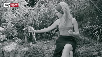 Gli 85 anni di Brigitte Bardot, tra mito e battaglie