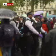 Police clear climate protesters from Whitehall