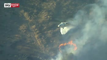 ERROR! California, le fiamme nella Simi Valley spaventano i cavalli