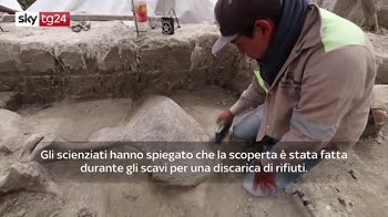 Messico, scoperte prime trappole per catturare mammut VIDEO