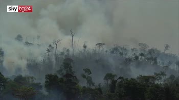 Bolsonaro attacca Di Caprio per incendi in Amazzonia