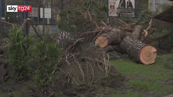 Maltempo Campania, a Napoli vittima schiacciata da albero