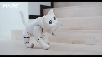 MarsCat, campagna su Kickstarter per il gatto robot. VIDEO