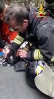 Incendio nel Milanese, pompieri salvano e rianimano gatto