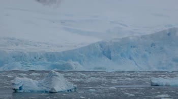 Antartide, il distacco dell'iceberg alto 40 metri