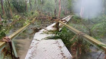 Australia, i rangers riparano parco naturale dopo alluvioni