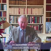 Principe Carlo racconta Coronavirus in un video sui social