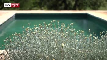 Vacanze, in Puglia boom richieste trulli con piscina