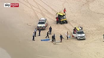 Australia, surfista muore dopo attacco di uno squalo