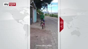Coronavirus, in Ecuador bambino mette la mascherina al cagnolino