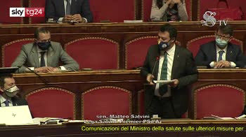 Salvini: governo consenta spostamenti a genitori separati