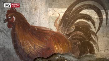 Scavi di Pompei, straordinaria scoperta, bottega intatta