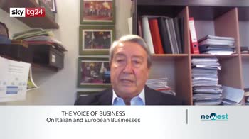 The voice of business, Stanca