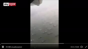 Canale di Suez, la nave incagliata inizia a muoversi