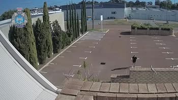 Persona che pratica il parkour fa crollare un muro. VIDEO