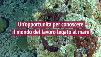 L'univerità Bicocca presenta la mostra IllusiOcean