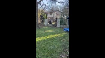 New York, vigili del fuoco liberano cerbiatto. VIDEO