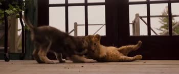 Il lupo e il leone: il trailer del film