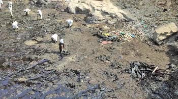 Perù, pulizia in spiagga dopo eruzione di Tonga. VIDEO