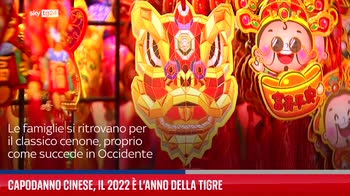 Capodanno cinese, il 2022 � l'anno della Tigre