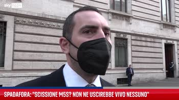 M5s, Spadafora sul futuro del MoVimento
