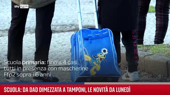 Covid e scuola: da Dad dimezzata ai tamponi fai da te, le novit� da luned�