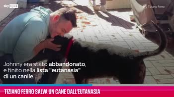 VIDEO Tiziano Ferro salva un cane dall'eutanasia
