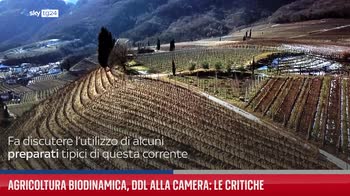 Agricoltura biodinamica, ddl alla Camera: le critiche