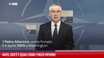 Nato, cos'� e quali sono i Paesi membri