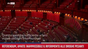 Referendum, Amato: inammissibile riferimento a droghe pesanti