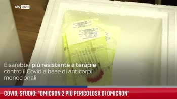 Covid, studio: "Omicron 2 pi� pericolosa di Omicron"
