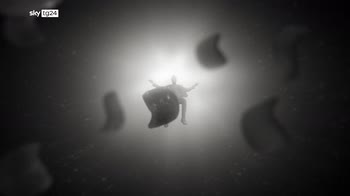 EMB 19. Torna Cremonini: "La Ragazza Del Futuro", album, tour e...