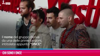 VIDEO DNCE, chi sono