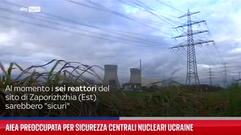 Aiea preoccupata per la sicurezza delle centrali nucleari