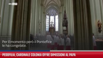 Pedofilia, cardinale Colonia offre dimissioni al Papa