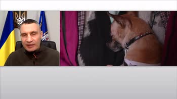 Il sindaco di Kiev Klitschko a Sky TG24: la citt� � assediata