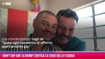 Don't Say Gay, la Disney critica la legge della Florida ma dipendenti Pixar  denunciano censure