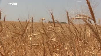 Guerra Ucraina, Biden vieta vodka e caviale russi