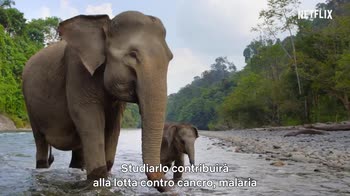 I parchi nazionali più belli del mondo, il trailer