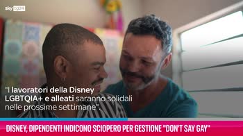 VIDEO Disney, sciopero per gestione "Don't say gay"
