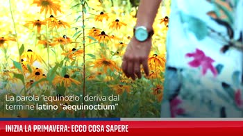 Equinozio di primavera: ecco cosa sapere