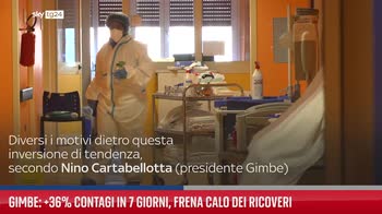 Covid, Gimbe: +36% contagi in 7 giorni