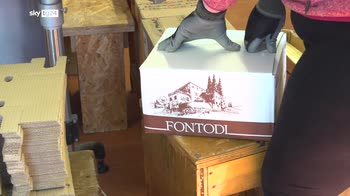 ERROR! Caro energia, boom del vino ma mancano bottiglie