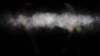 VIDEO - Sarah Stride presenta Luna Raccolta